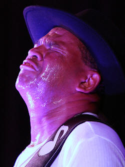 � Copyright 2008 Alan White. All Rights Reserved.